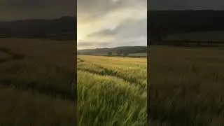 &ldquo;Still learning. Still healing #nature #learning #mindset #scenery #healing