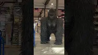 The Fireworks Superstore Hannibal - Aisle 1 - Rockets