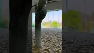 #museos de la #cdmx en el #bosquedechapultepec  #lago #algo 📍🇲🇽 #rincones que #visitar #tour