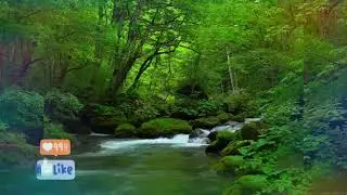 M&Uacute;SICA PARA RELAXAR E DORMIR (SINTA A HARMONIA DA NATUREZA E RECARREGUE A SUA ENERGIA E PAZ 100%AMOR
