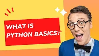 What is Python basics?