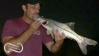LIVE MULLET VS SPOOLTEK LURE WHILE SNOOK FISHING