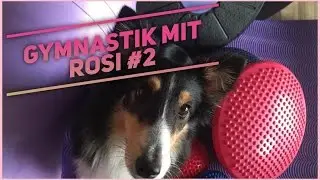 [Fun] Gymnastik auf dem Peanutball - Rosi der Sheltie