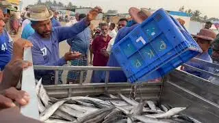 Top Fish Exporting Countries | உலகின் முன்னணி மீன் ஏற்றுமதி செய்யும் நாடுகள் 🧑&zwj;🎄