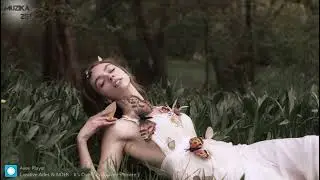 Creative Ades & NDER - It's Over