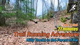Virtual Trail Running Adventure | Hilly Tracks in the Forest of Bie