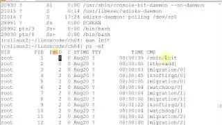Command line & processes