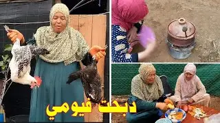 Май Хамуша принесла цыплят Фаюми из загона и приготовила их в землянке.