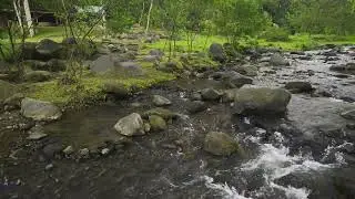 Soothing river flow and white noise for meditation, healing, and sleep aid