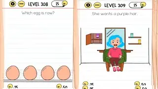 Brain test level 308-309