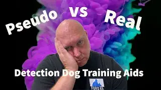 Pseudo vs Real for Detection Dogs