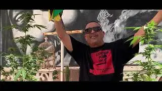 Reality Souljah/SoulFood