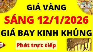 Trực tiếp giá vàng Sáng hôm nay ngày 12/1/2026 - Tăng kinh khủng giá vàng 9999, vàng Sjc, Doji, Pnj