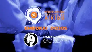 EMBUKAI DANKAI DOJO