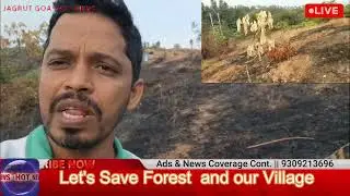 Forest Burnt Purposely or Coincidently ?
