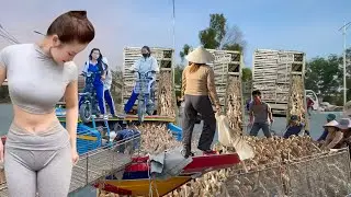 Full Video: The Most Extreme Duck Transport System Using Trucks and Boats in Vietnam | Farm Life TV