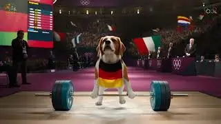 Dog Olympics | Epic Beagle Dog Weightlifting Challenge