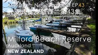4K Walk in NZ EP43 - Milford Beach Reserve Auckland 沉浸式徒步新西兰第43集-奥克兰绝美栈桥游艇码头Milf