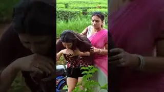 Watch 👆 Police Maman Malayalam Comedy Scenes! #policemaman #baburaj #indrans #comedy #shorts