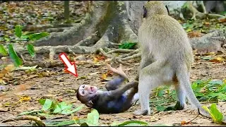 HELP ME...HELP ME ! LOOK PITIFUL AND SAD...POOR JINX DEEP SCARE AND HURT MUCH BY BIG MONKEY TORTURE
