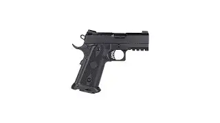 Gun Of The Week: EAA Witness2311 Brat