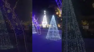 #colorfullights