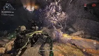 100 Hours Lost in Duviri (Solo run)