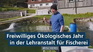 Freiwilliges Ökologisches Jahr in der Lehranstalt für Fischerei in Aufseß