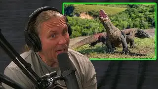 Brian Barczyk Talks about Potentially Owning a Komodo Dragon!!
