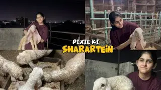 AJ APKO MENE PIXIE KI SHARARTEIN DIKHAIN 😇❤️