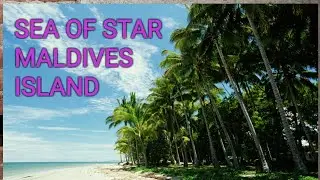 Sea of stars, Vaadhoo Island, Maldives