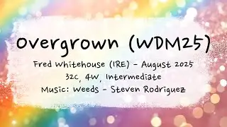 Overgrown WDM25 LineDance/Teach/Tutorial/ 장은서라인댄스/강원특별자치도댄스스포츠연맹/강릉라인댄스