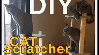 DIY - Cat Scratcher  - Easy and Cheap