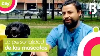La psicolog&iacute;a de los perros y gatos | Monimalista | Brav&iacute;ssimo