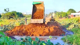 Perfect machinery of road construction across the lake....The mini bulldozer pushing soil the best