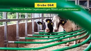 Grebe GbR: Umbau mit flexiblen Liegeboxenb&uuml;geln PRIMA und Latex-Matratzen