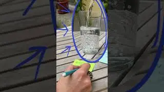 Bevande alcoliche e tumori