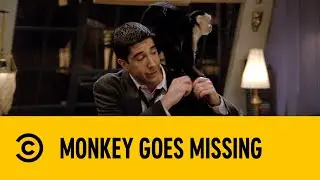 Monkey Goes Missing | Friends | Comedy Central Africa