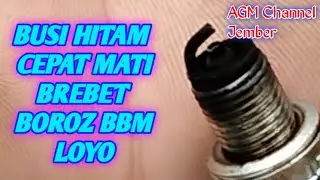 BUSI HITAM CEPAT MATI # MOTOR BREBET TENAGA LOYO