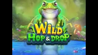 Wild Hop n Drop was a fun ride (1000x Win Bonus Clip)