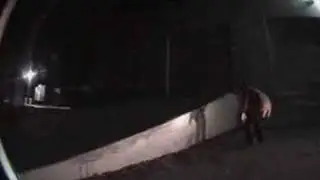 B.S. Video