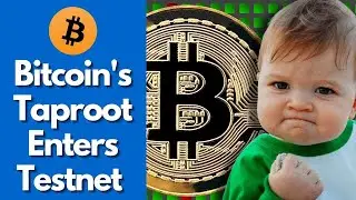 Bitcoin's Taproot Enters Testnet | Crypto News Today | bitcoin news
