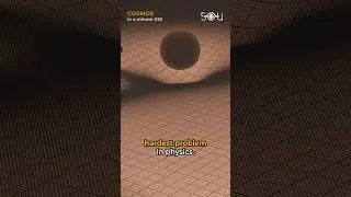What is Quantum Gravity? | COSMOS in a minute #25