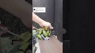 what's next after master chief? #halo #masterchief #toy  #satisfying #oddlysatisfying #sandingshit