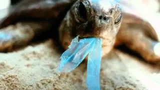 Recycling Awareness