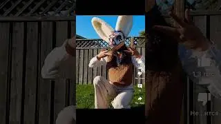 Anti Furry video #1 #antifurry #sigma #fyp #рекомендации
