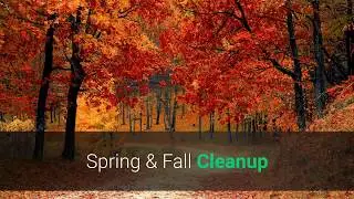 Spring & Fall Cleanup By Pro Lawn Care Services Tampa FL