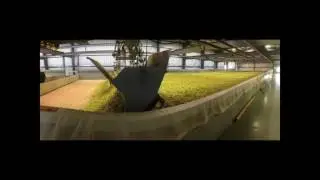 Leveraging the Small Hop Growers' Competitive Advantages (South Atlantic Hops Conference - part 1)