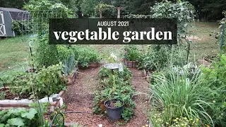 Vegetable Garden Tour August 2021 🌿 A wild, magical jungle | GroundedHavenHomestead