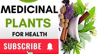 MEDICINAL PLANTS IN AFRICA WITH HIGH HEALTH BENEFITS 🌱 @Folklore_Africa 